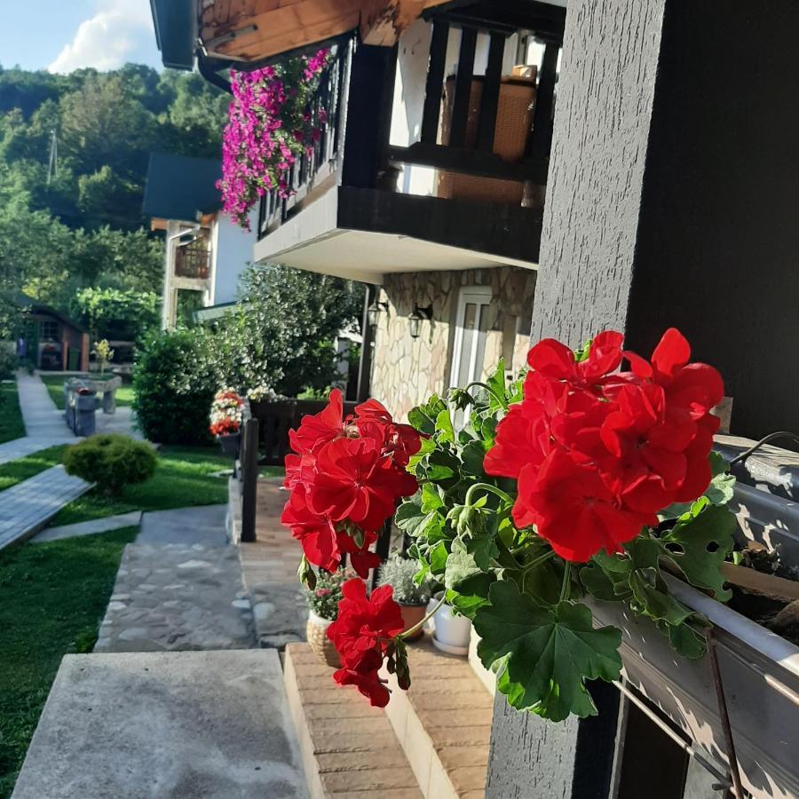 Rooms And Apartmants Mirovic Kolašin Kültér fotó