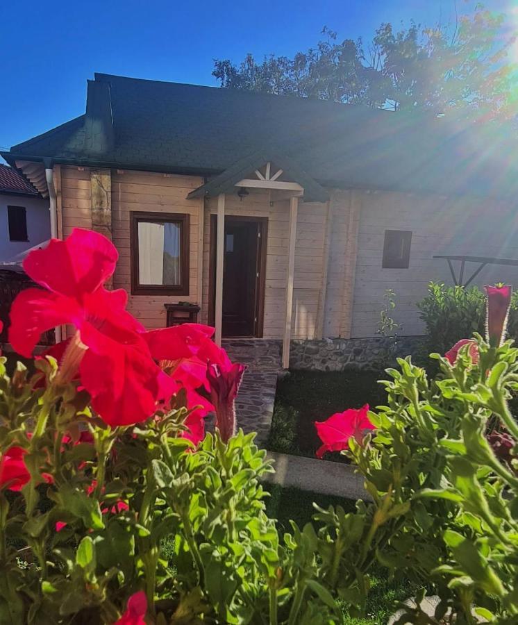 Rooms And Apartmants Mirovic Kolašin Kültér fotó