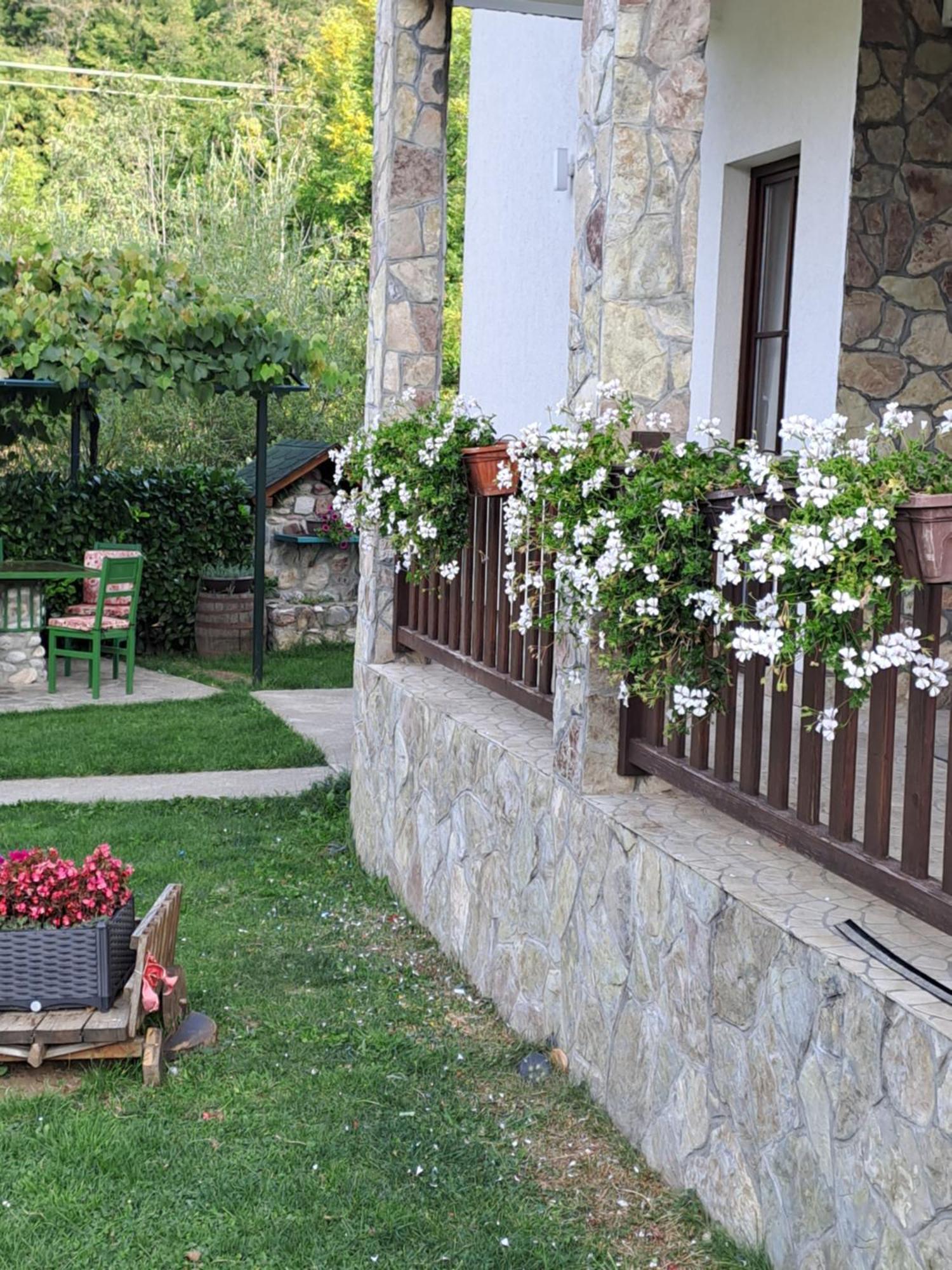Rooms And Apartmants Mirovic Kolašin Kültér fotó